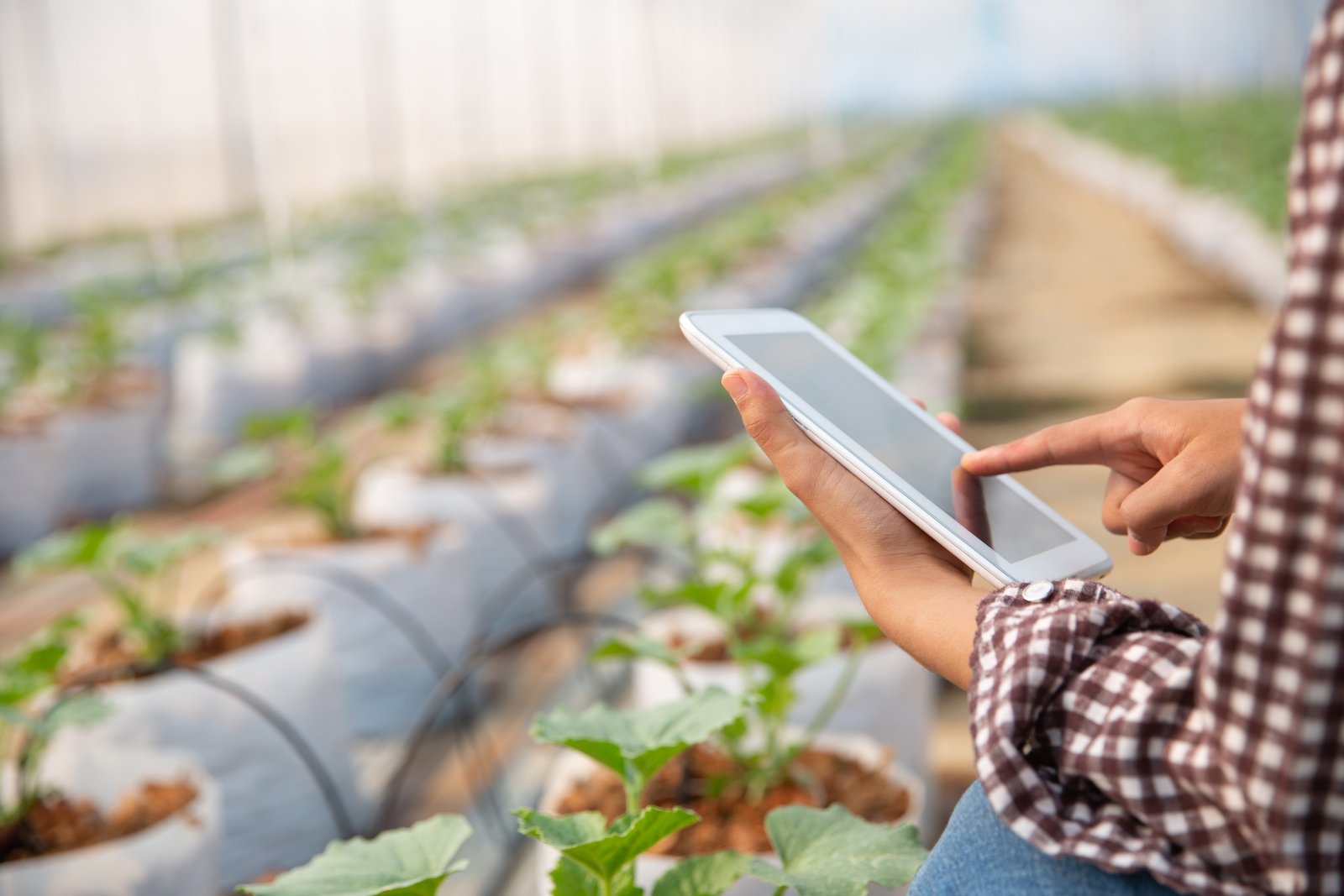 Precision Farming & AgriTech